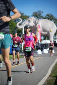 BIB: 
                            <button type="button" onclick="openModal(26543117)" class="btn btn-primary btn-sm float-right btn-popup" data-toggle="modal" data-target=".modal-high-quality">
                        <i class="fas fa-shopping-cart"></i> Add to Cart
                    </button>
                                            <button type="button" onclick="isThisMe(26543117, true)" class="btn btn-success btn-sm float-right btn-popup btn-isme hidden" data-toggle="tooltip" data-placement="bottom" title="นี่คือรูปของคุณใช่ไหม คลิกที่นี่เพื่อเอาเข้าอัลบั้ม">
                        <i class="fas fa-plus"></i> Add to album
                    </button>
                    <button type="button" onclick="isThisMe(26543117, false)" class="btn btn-warning btn-sm float-right btn-popup btn-isnotme hidden">
                        <i class="fas fa-ban"></i> Remove from album
                    </button>